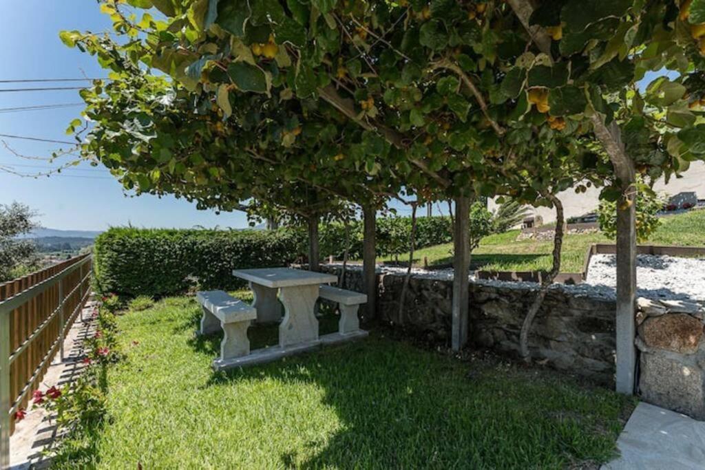Fernandes Guest House Bright Private Suite Ponte de Lima Dış mekan fotoğraf